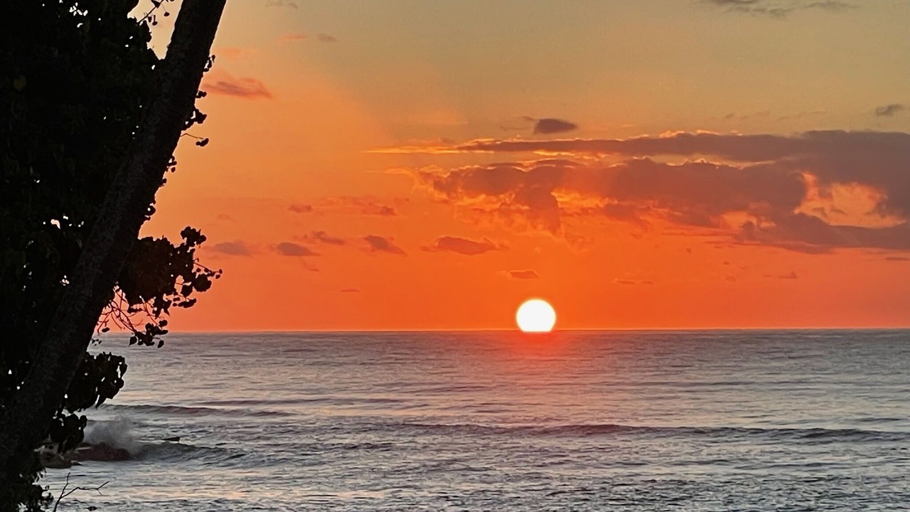 Photo of Others in Wailua