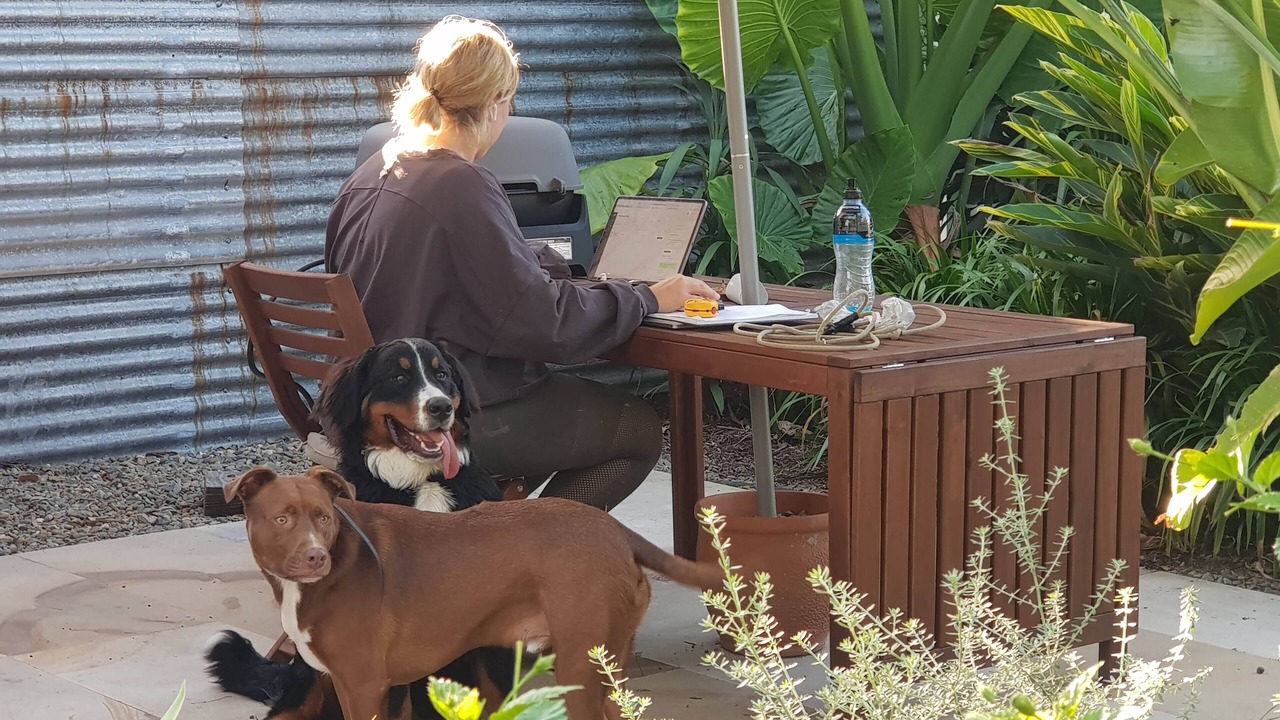 Photo of Others in Seelands