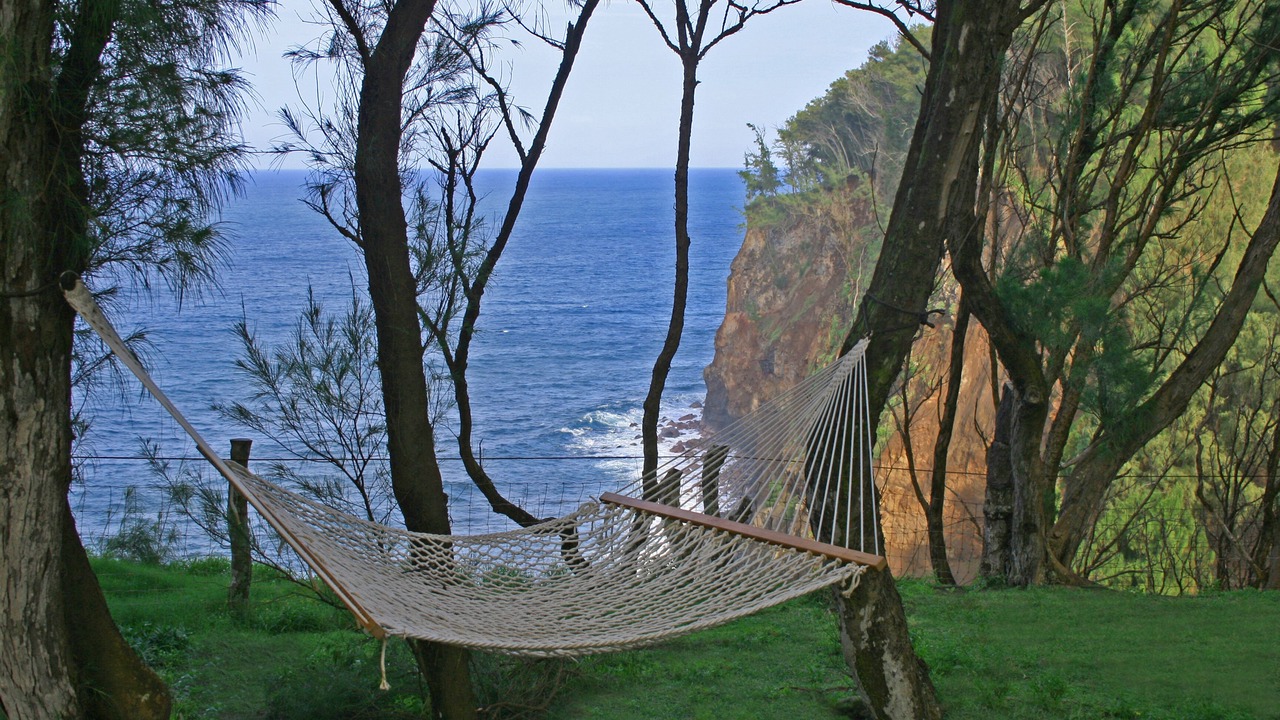 Photo of Outdoor in Kapaau