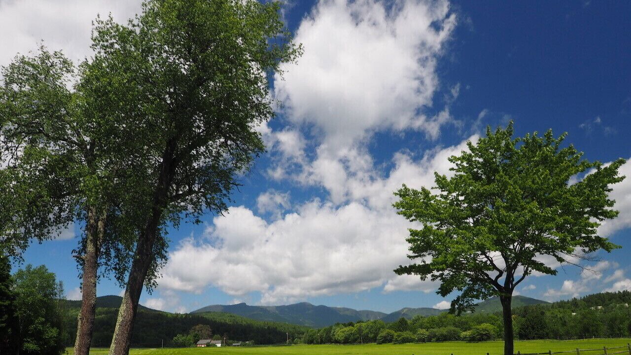 Photo of Others in Stowe Area