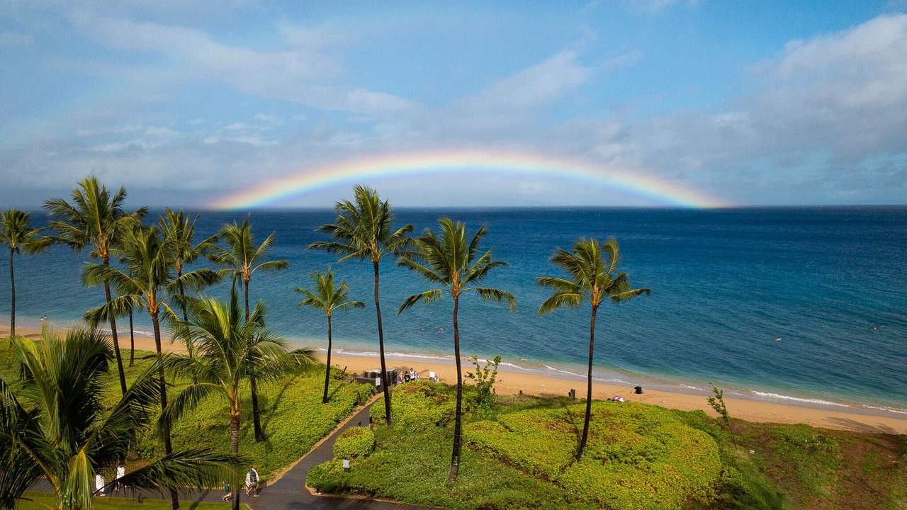 Photo of Others in Lahaina