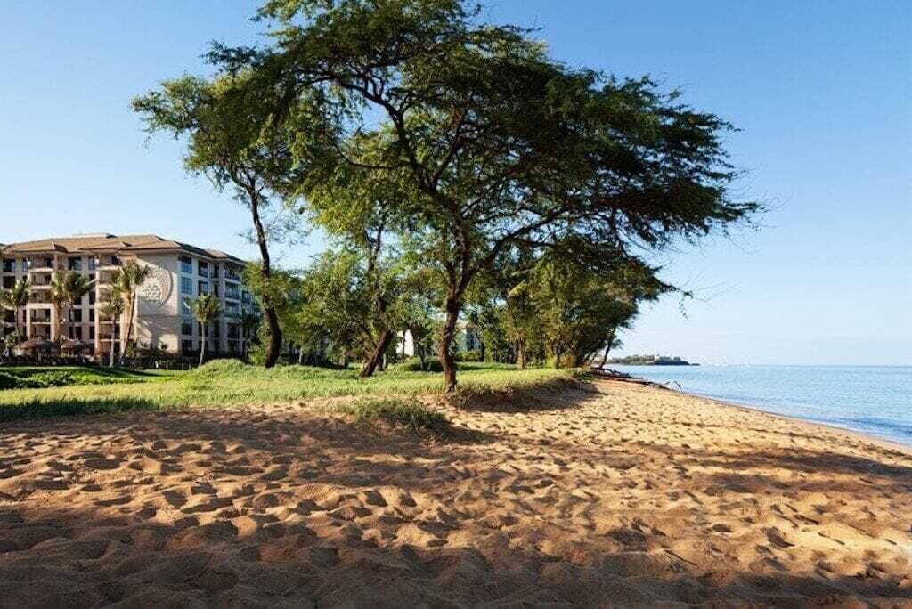 Photo of Others in Lahaina
