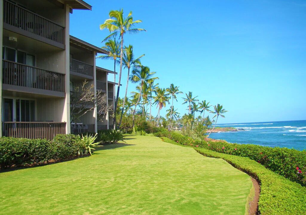 Photo of Others in Wailua