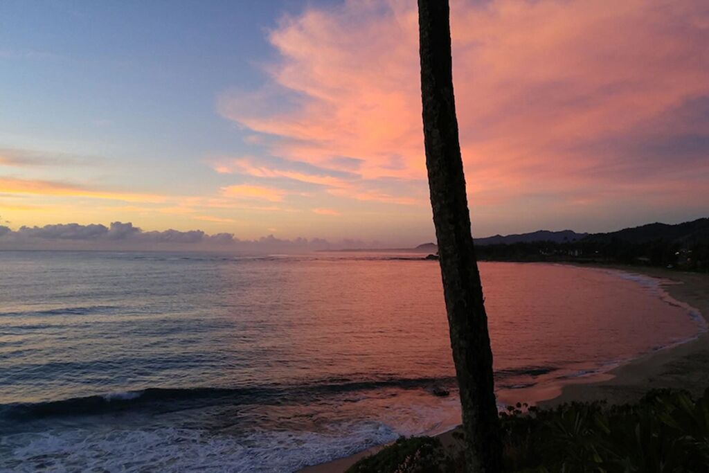 Photo of Others in Wailua