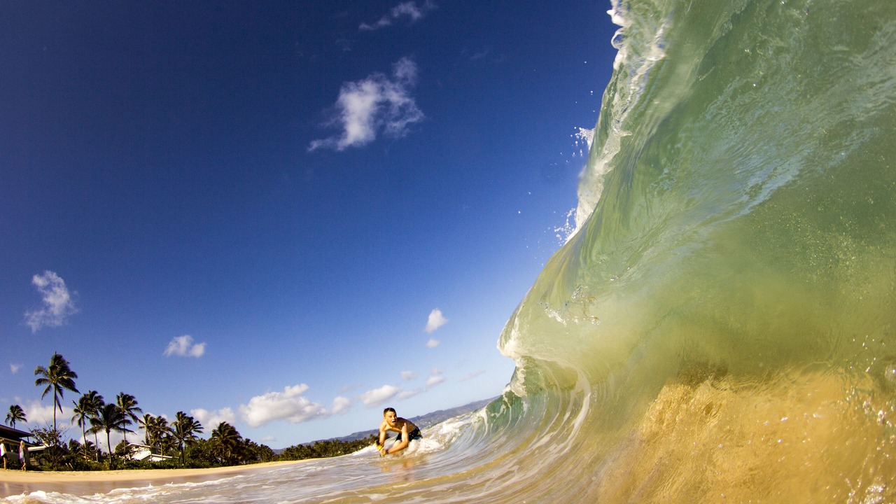 Photo of Others in Pupukea