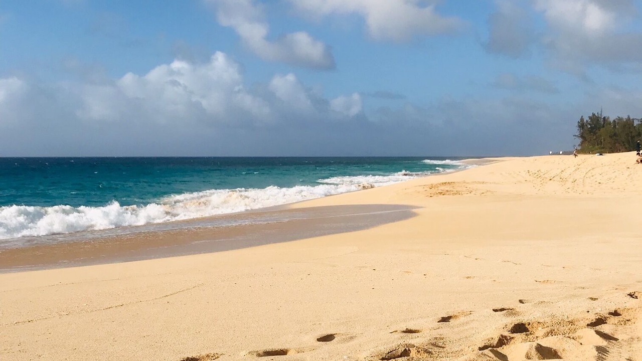 Photo of Others in Pupukea