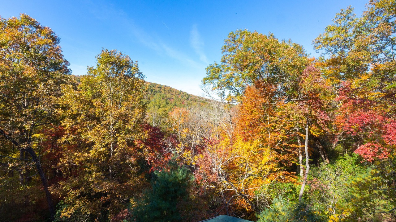 Photo of Others in Blairsville