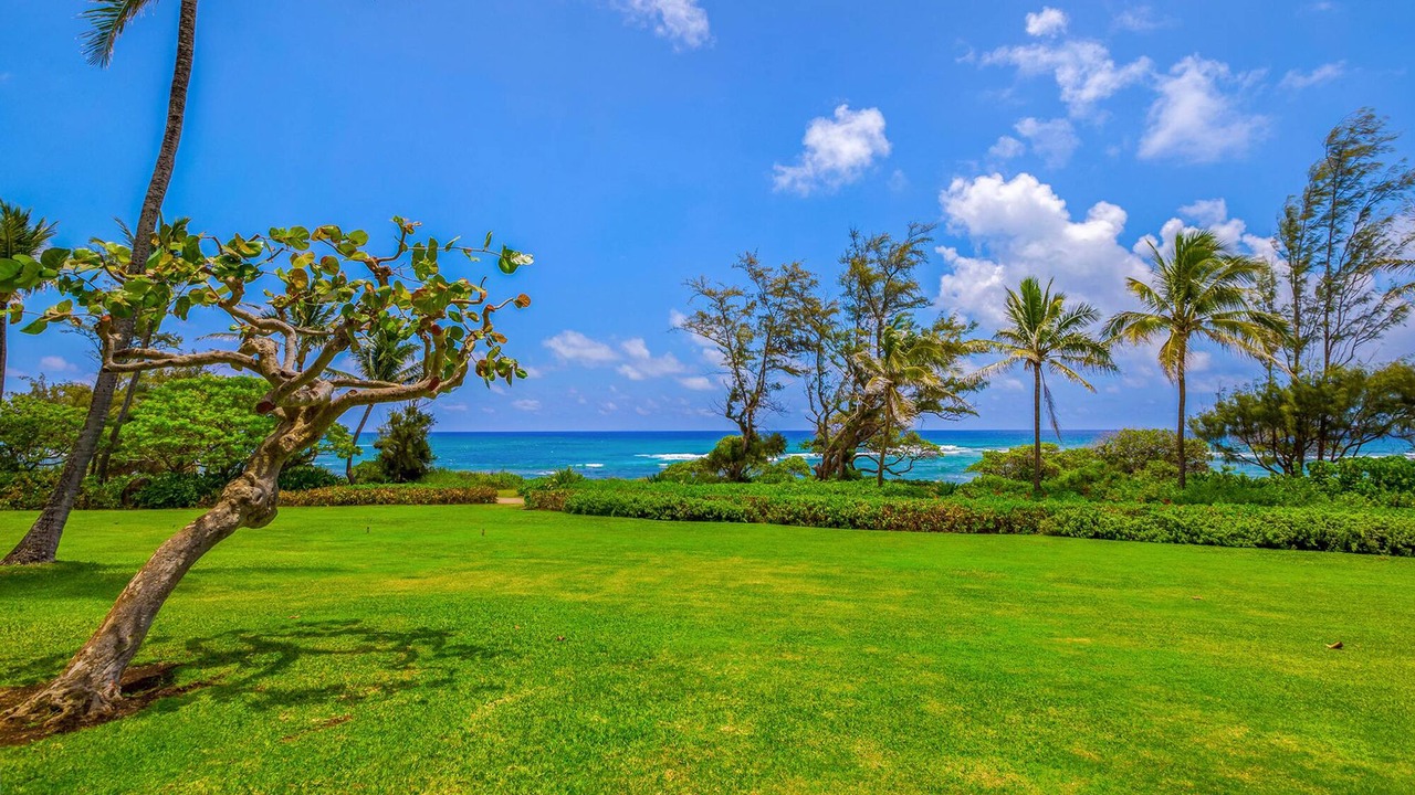 Photo of Others in Lihue