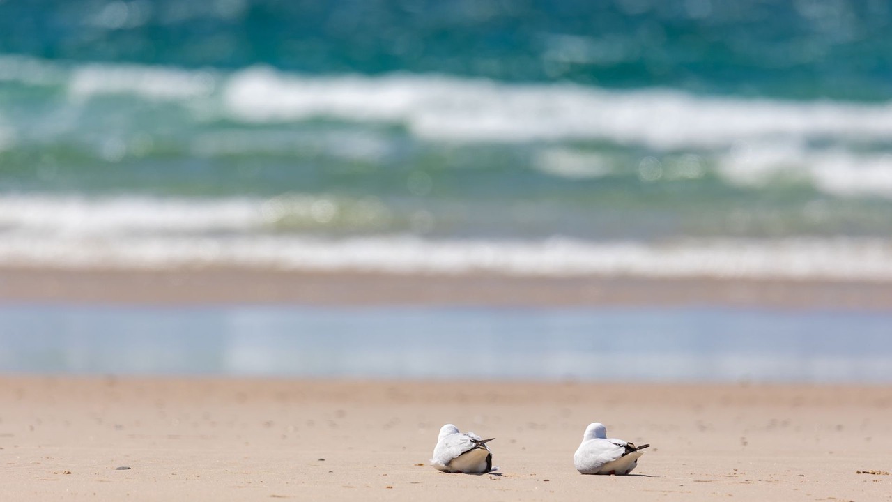 Photo of Others in Kingscliff