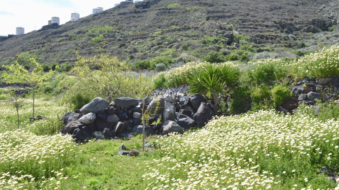 Photo of Others in Imerovigli