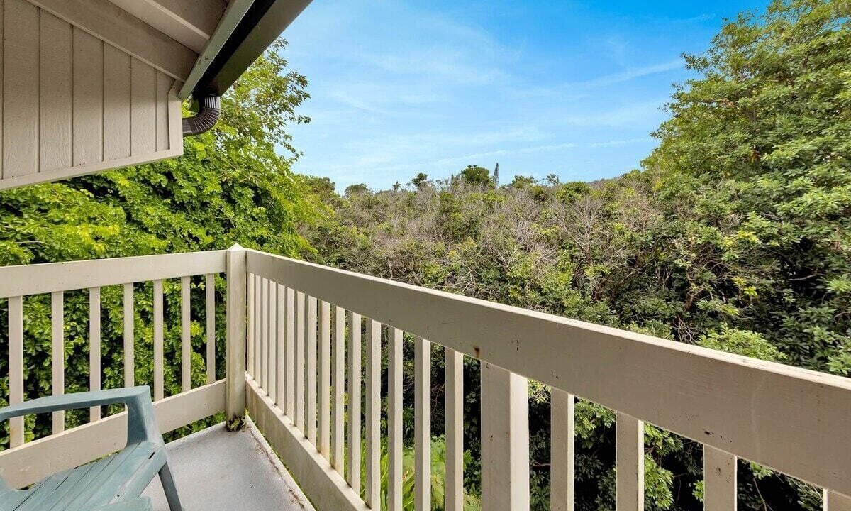 Photo of Outdoor in Princeville