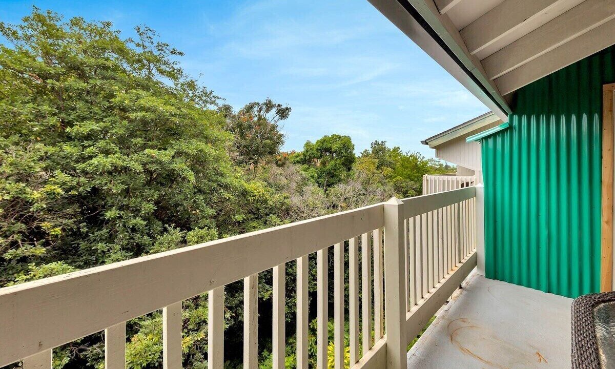 Photo of Outdoor in Princeville