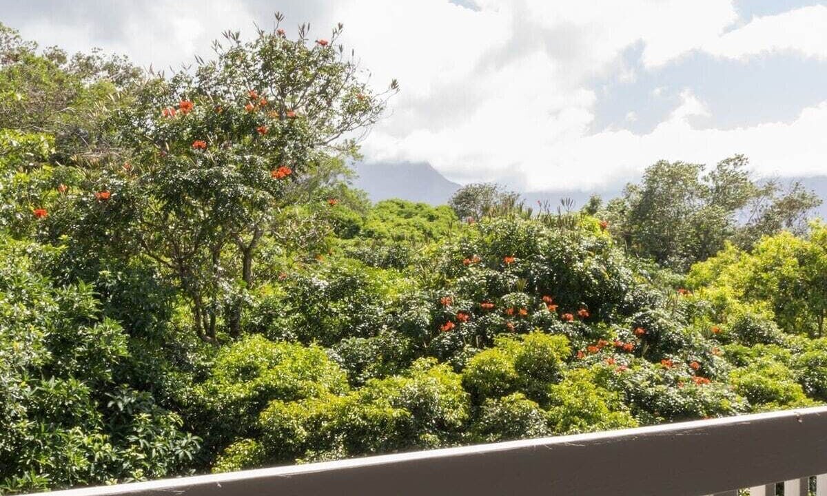 Photo of Outdoor in Princeville