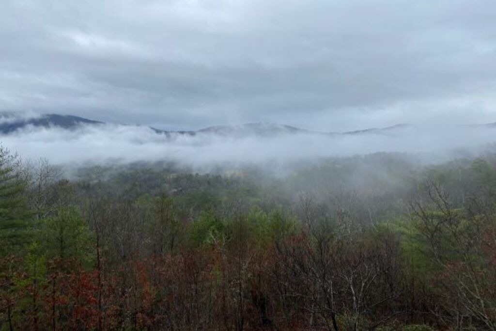Photo of Others in Townsend