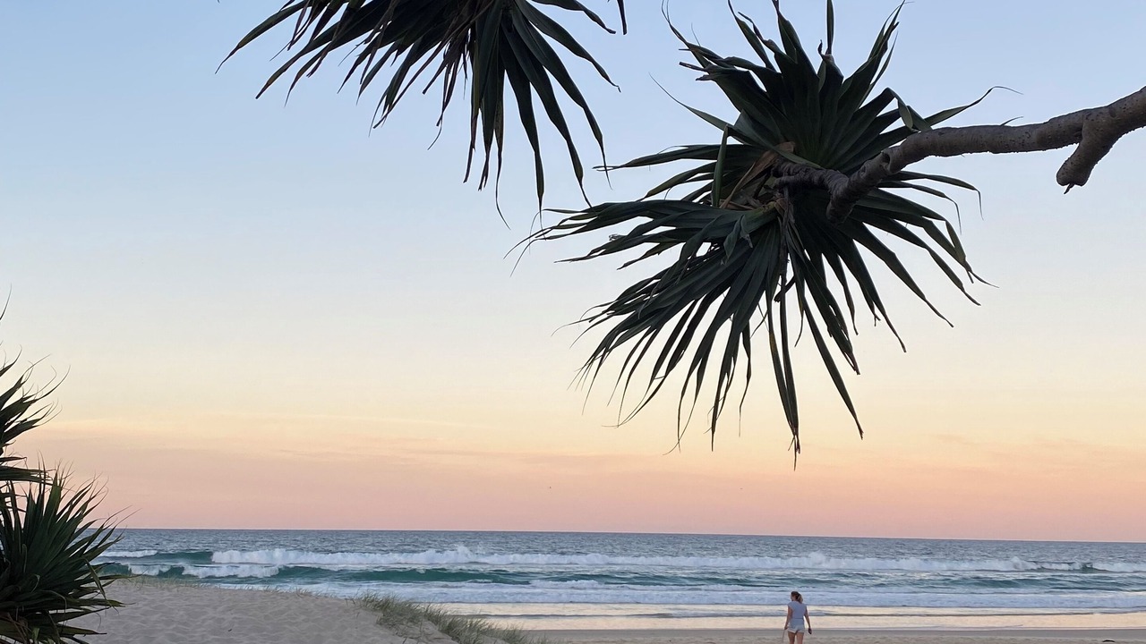 Photo of Others in Currumbin