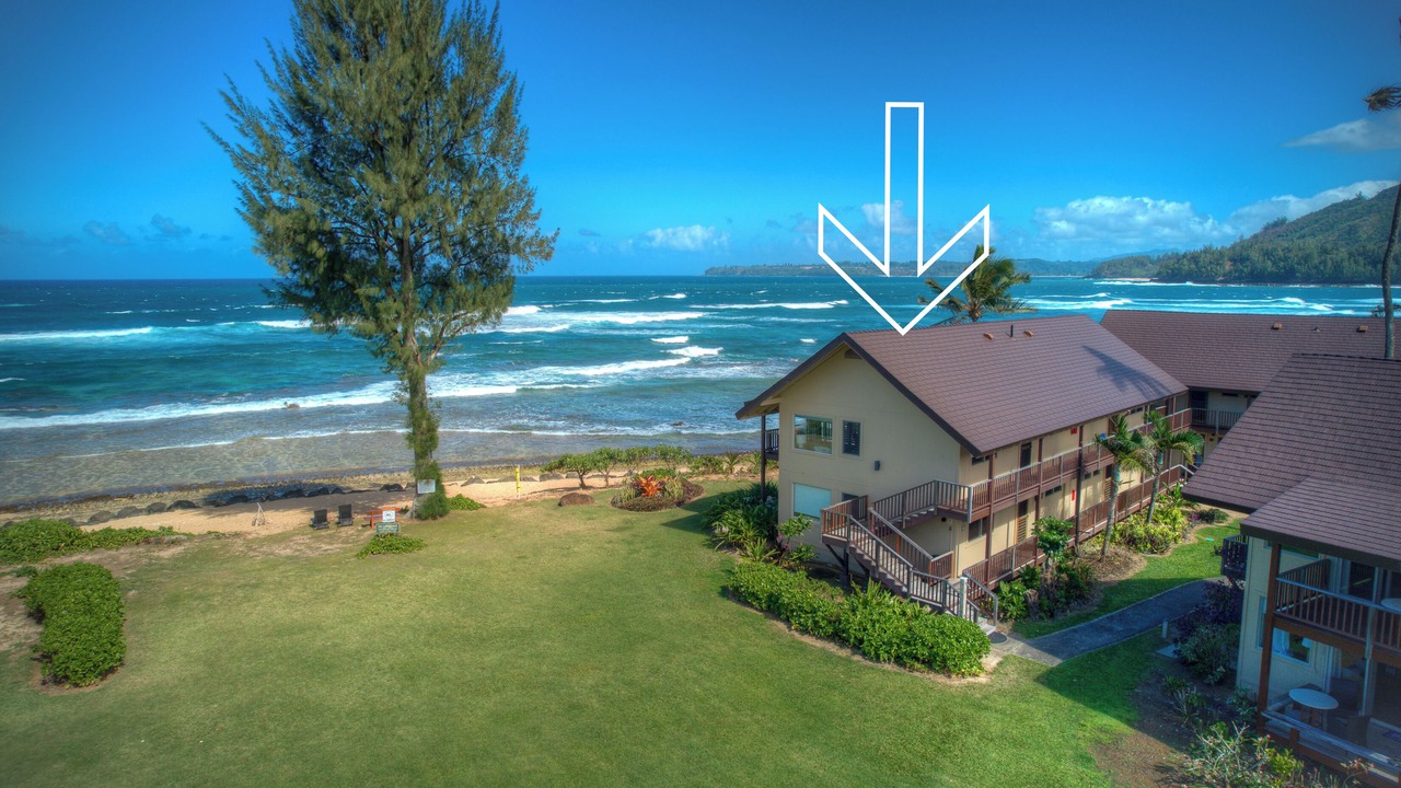 Photo of Outdoor in Wainiha