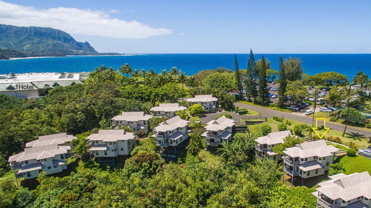 Photo of Outdoor in Princeville