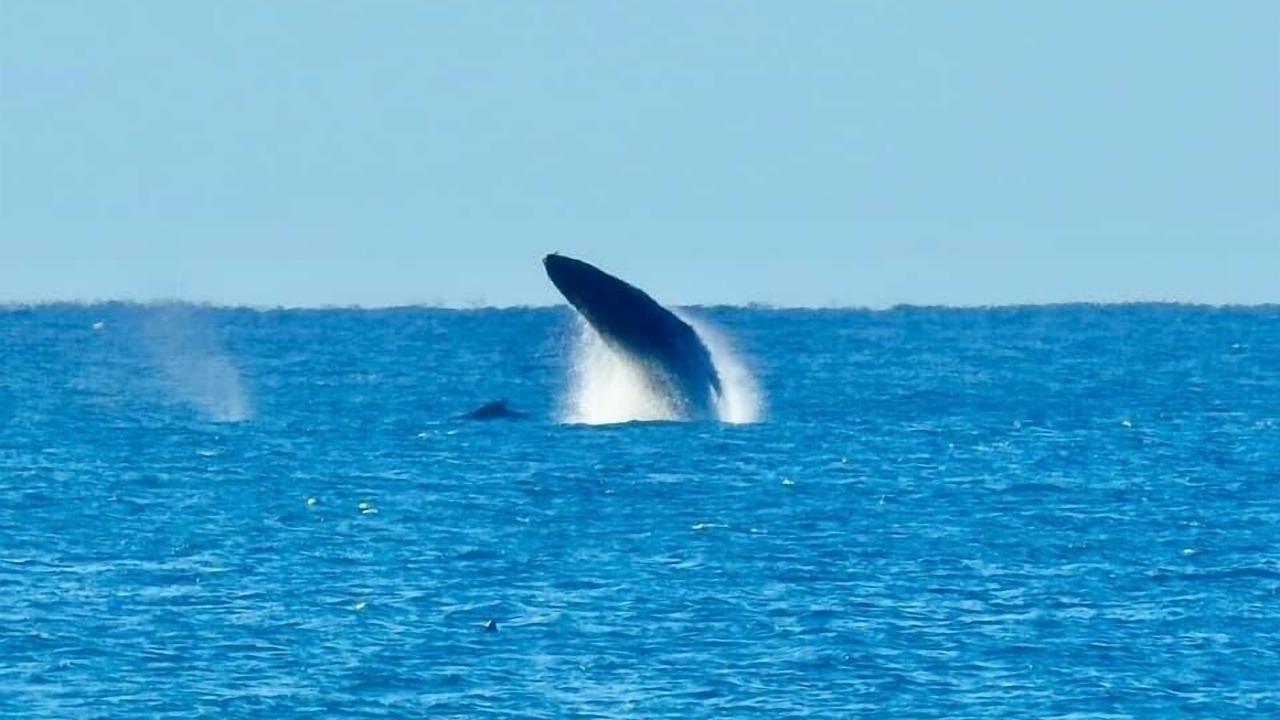 Photo of Others in Cabarita Beach