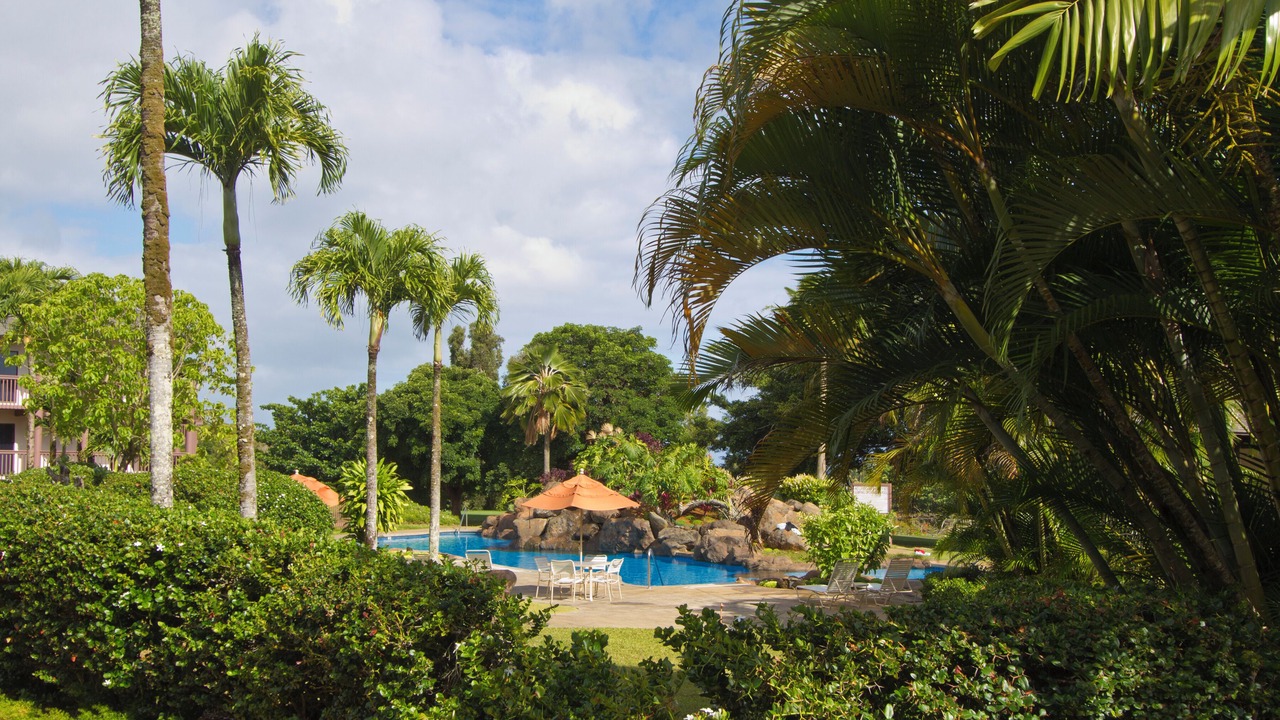 Photo of Others in Princeville