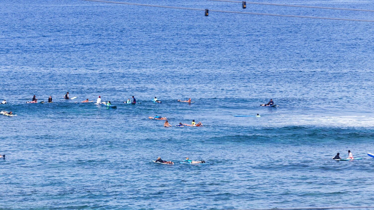 Photo of Others in Kahaluu Bay
