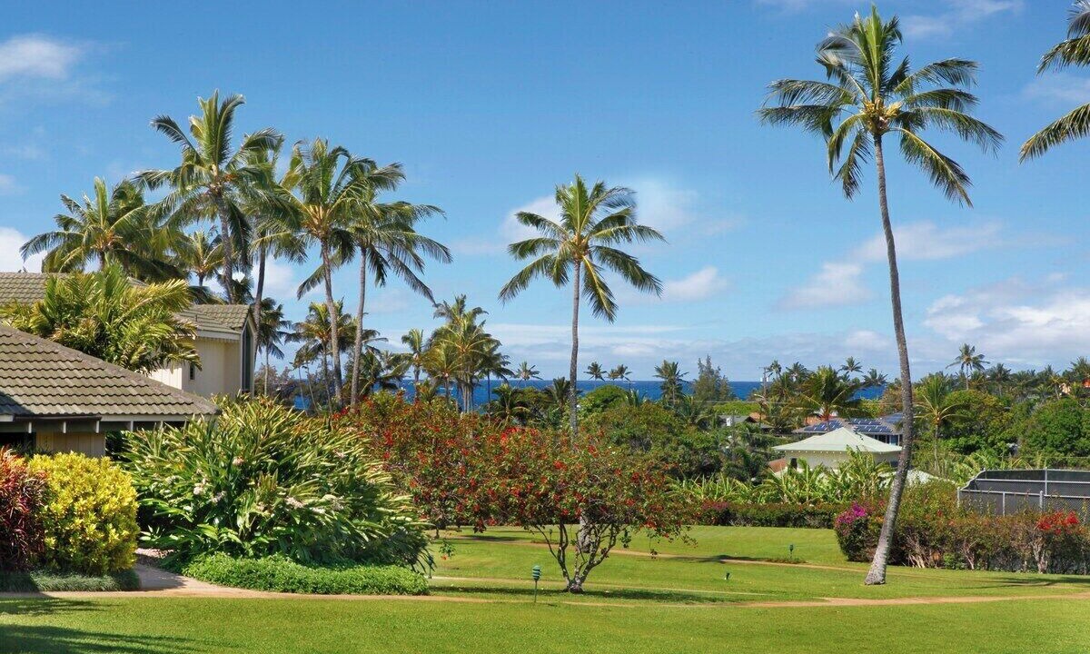 Photo of Others in Poipu