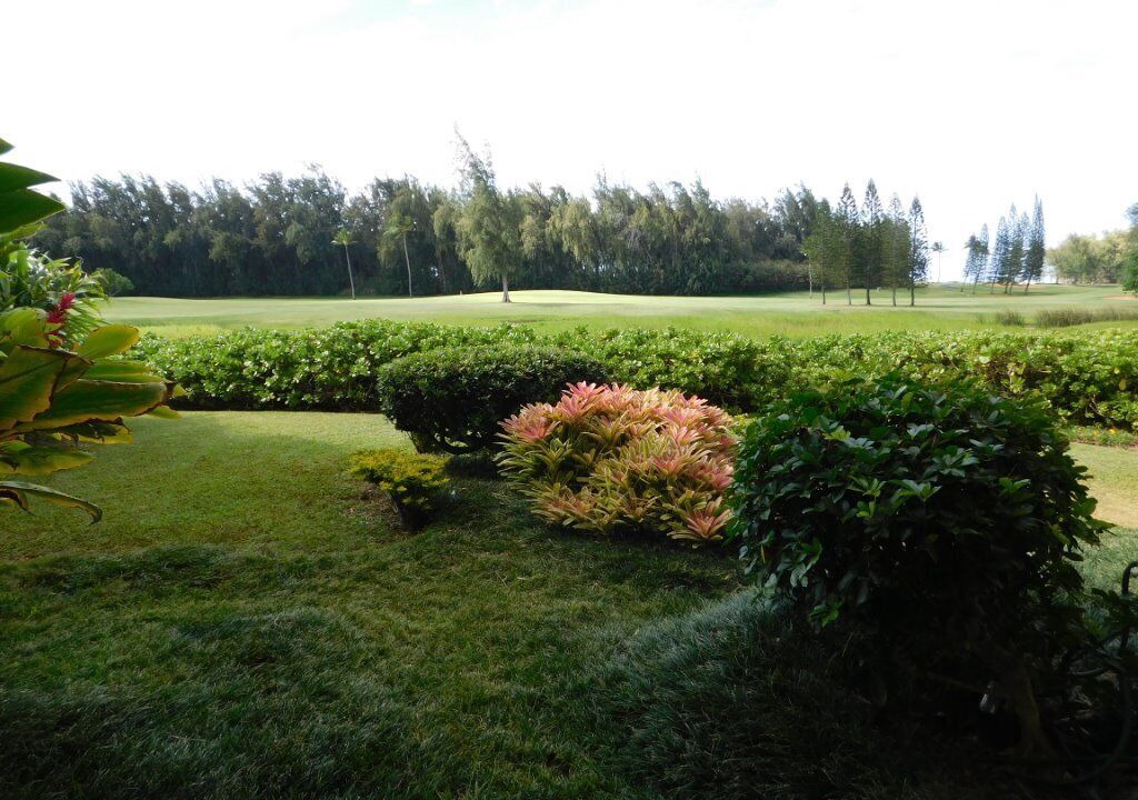 Photo of Others in Kahuku