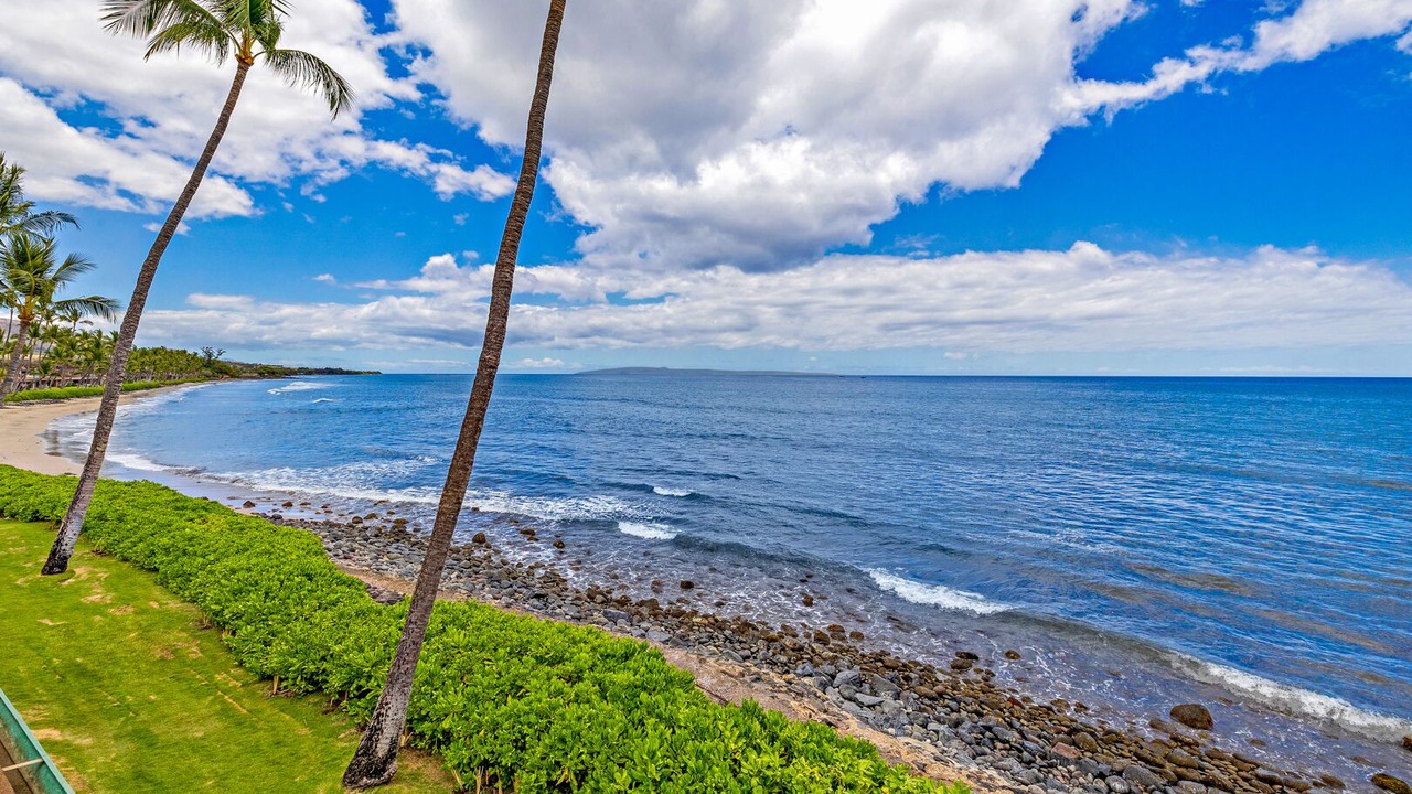 Photo of Others in Historic Lahaina Front Street