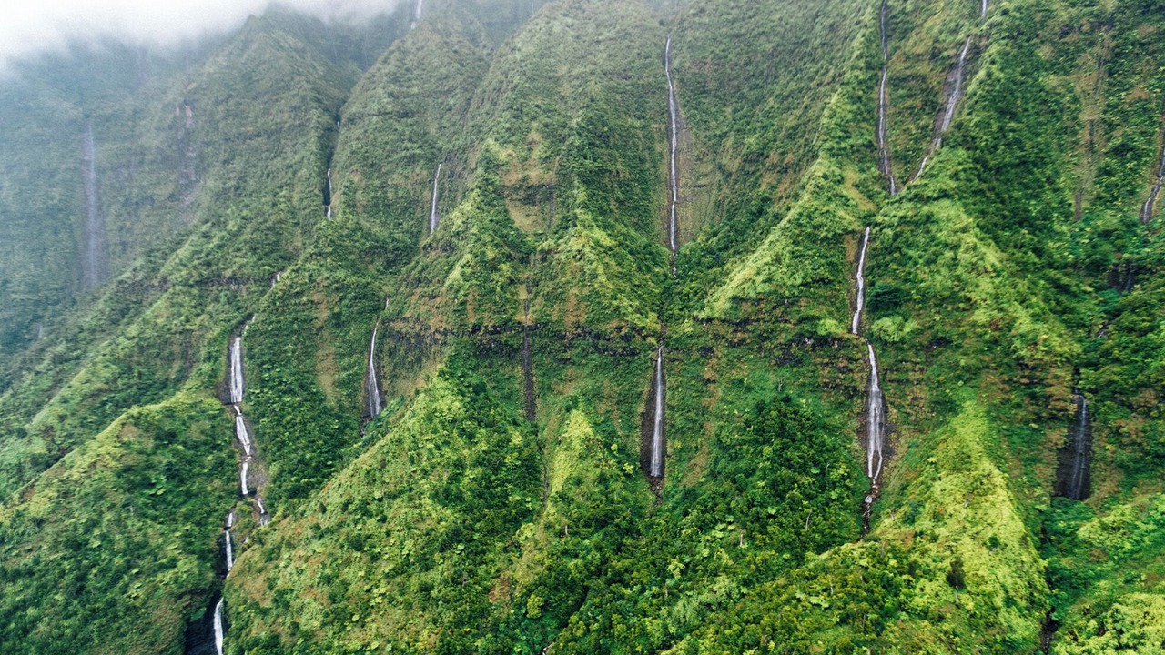 Photo of Others in Princeville