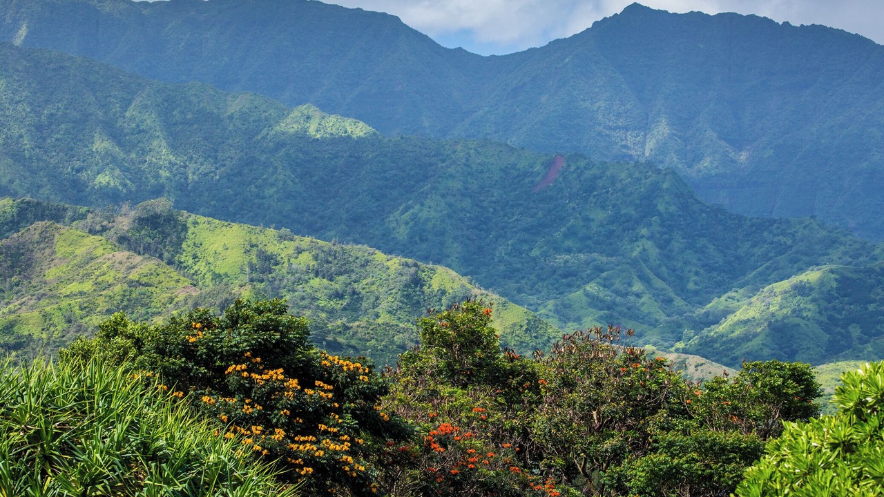 Photo of Others in Princeville