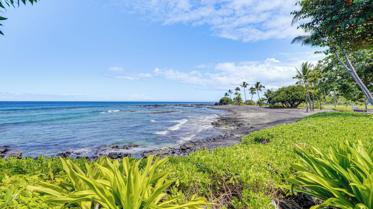 Photo of Others in Kahaluu-Keauhou