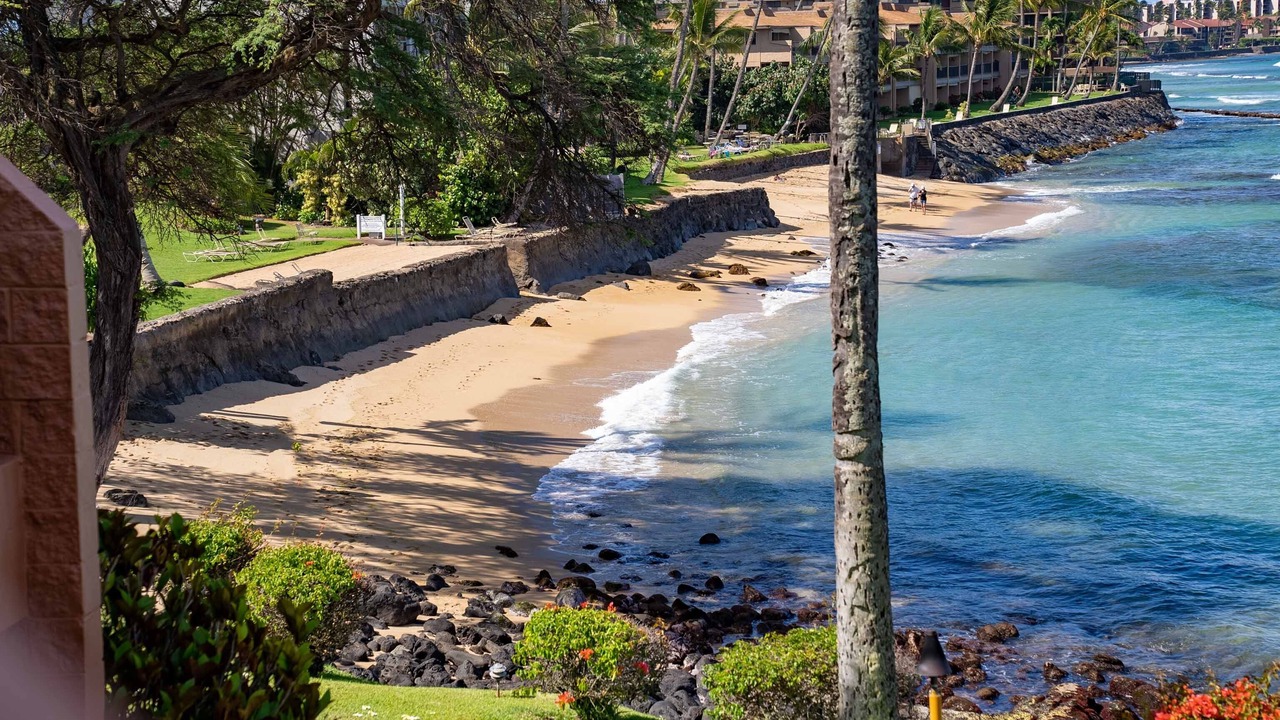 Photo of Others in Honokowai