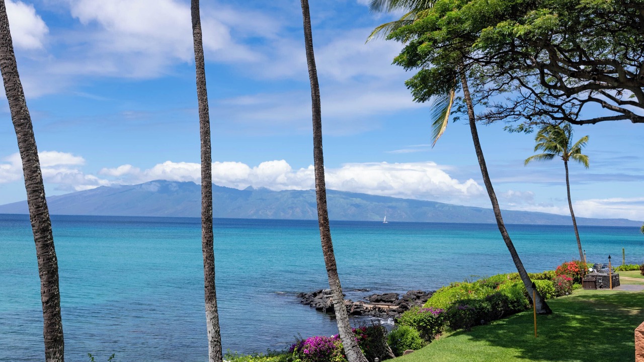 Photo of Others in Honokowai