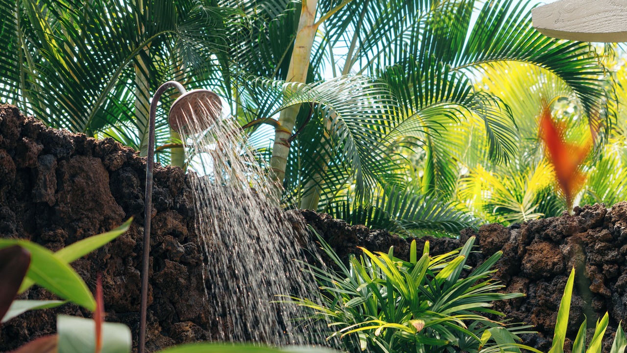 Photo of Outdoor in Kaupulehu