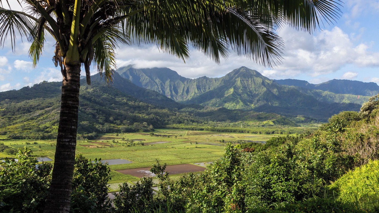 Photo of Others in Hanamaulu