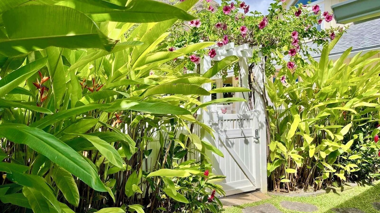 Photo of Outdoor in Lanikai