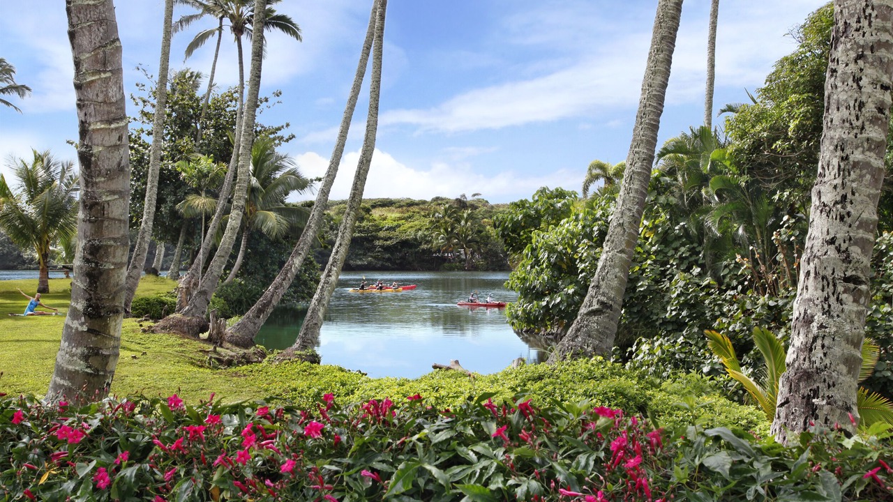 Photo of Others in Wailua