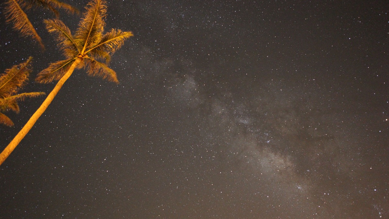 Photo of Others in Laie