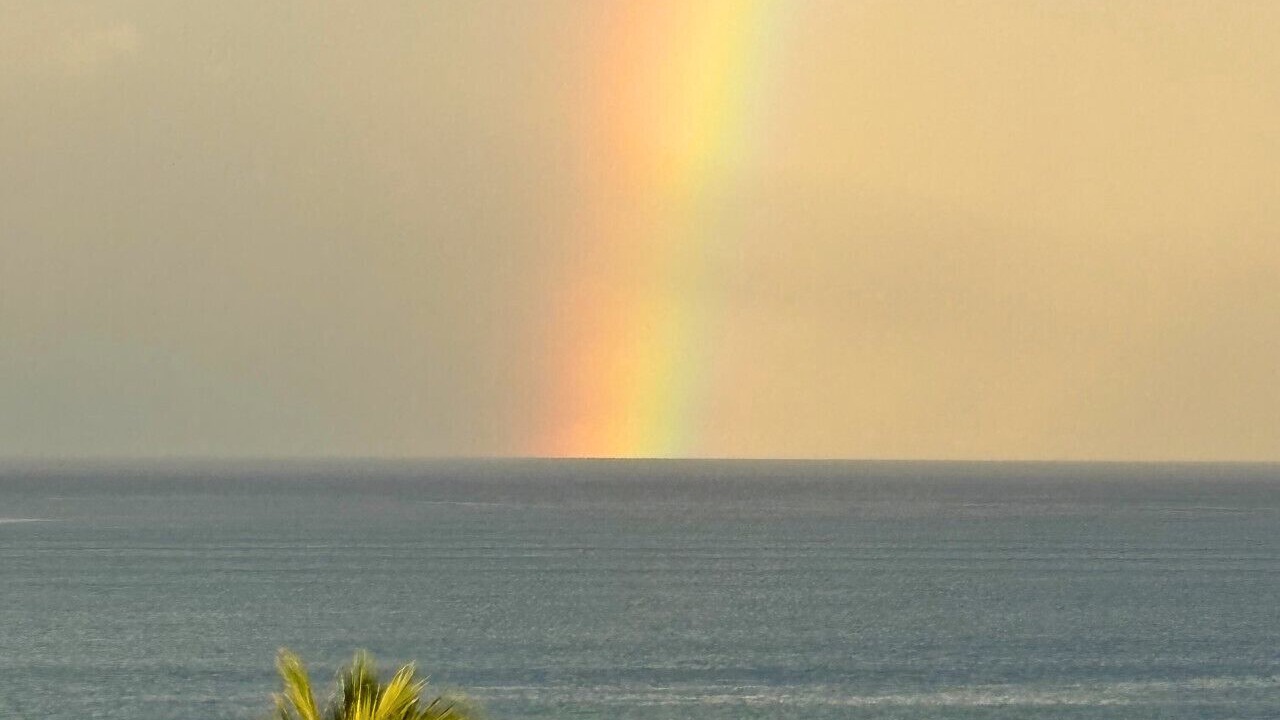 Photo of Others in Ko Olina