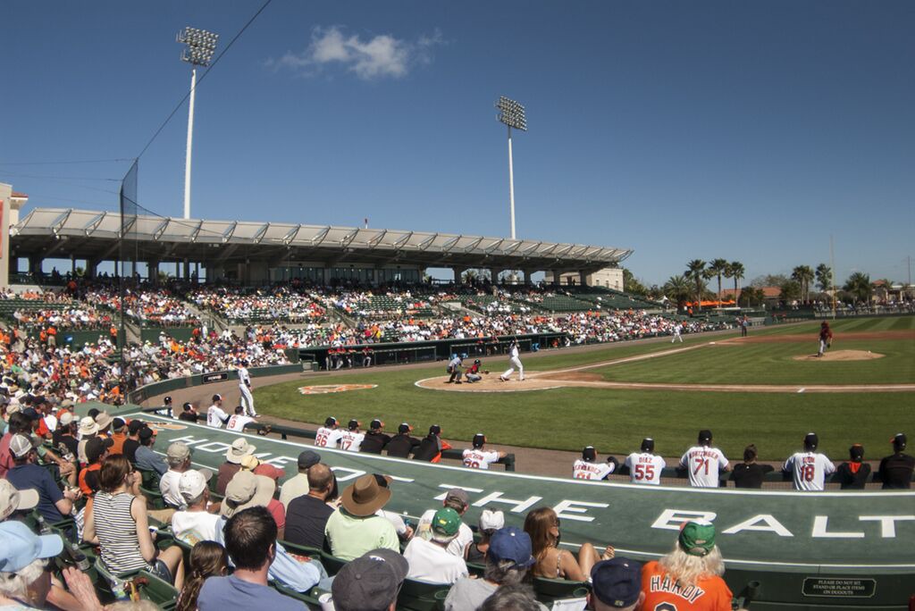 Photo of Others in Ringling Park