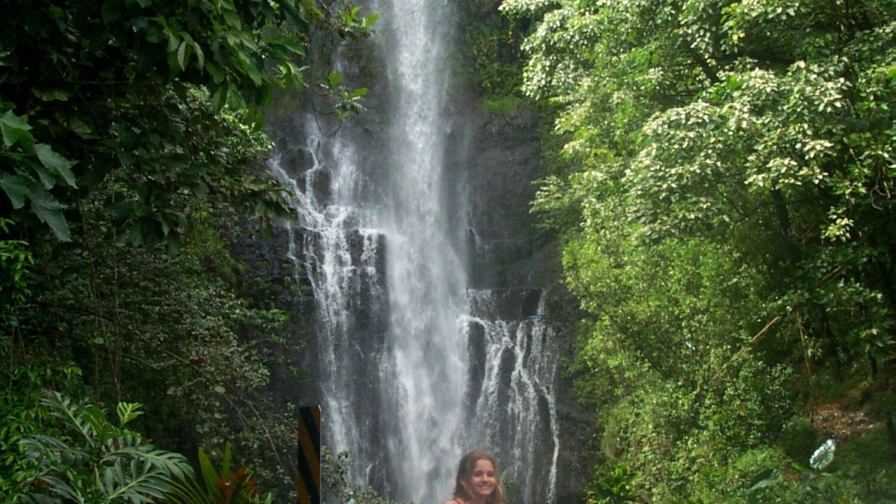 Photo of Others in Kihei