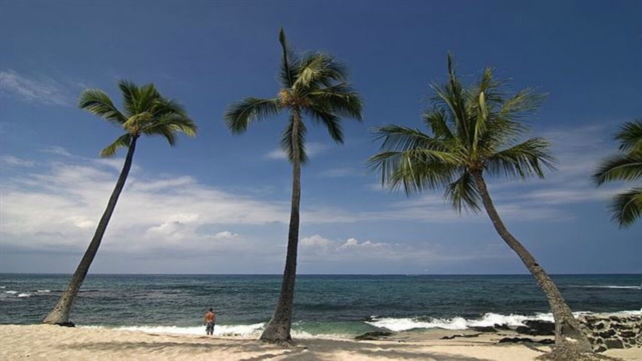 Photo of Others in Kailua-Kona