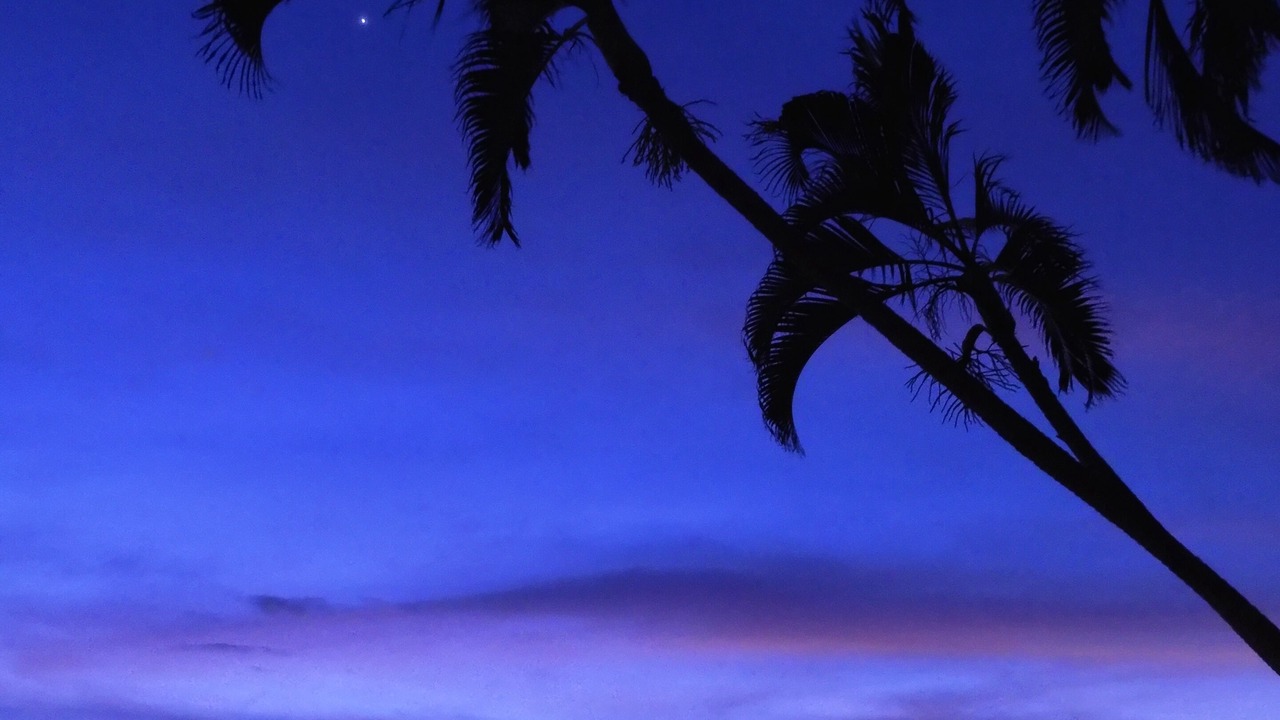 Photo of Others in Kahaluu-Keauhou