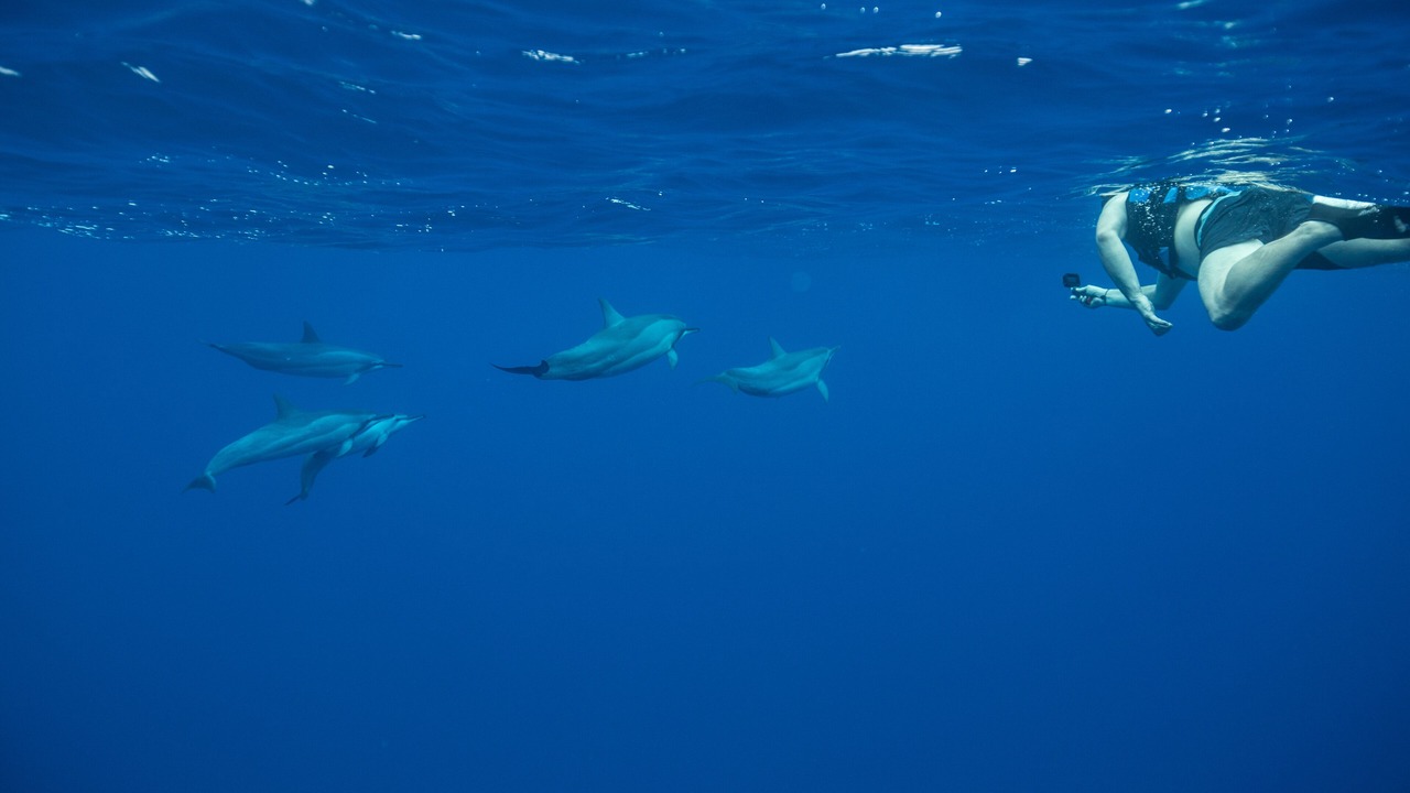 Photo of Others in Waimanalo Beach
