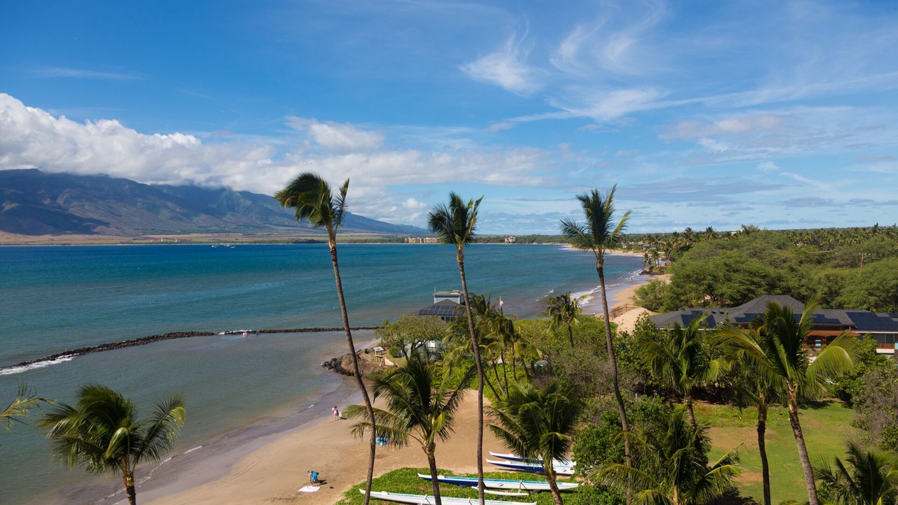 Photo of Others in Kihei