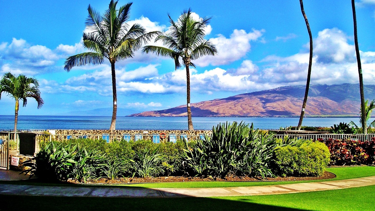 Photo of Others in Kihei