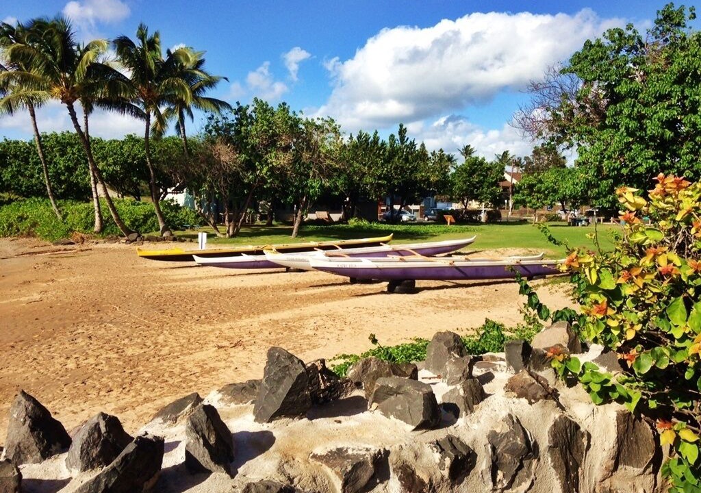 Photo of Others in Kihei