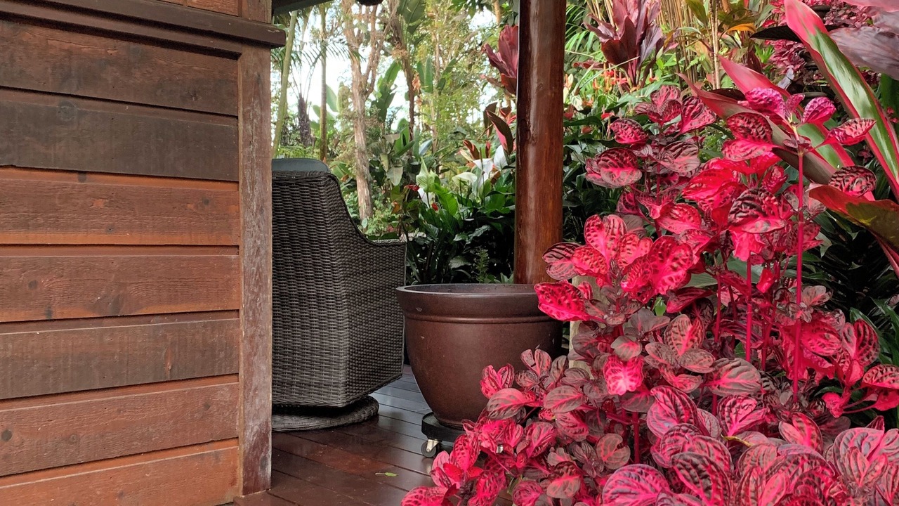Photo of Outdoor in Kailua-Kona