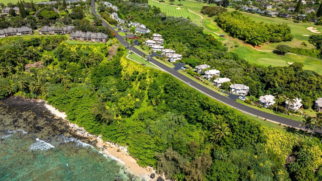 Photo of Others in Princeville