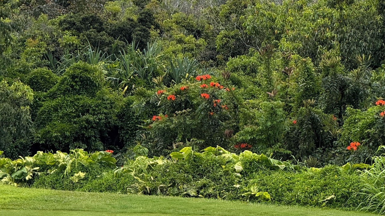 Photo of Others in Princeville