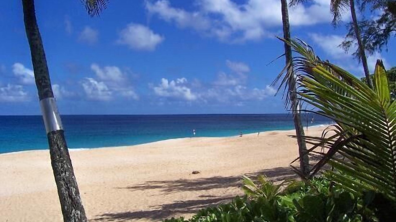 Photo of Others in Pupukea